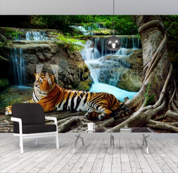 Picture of indochina tiger lying with relaxing under banyantree against bea
